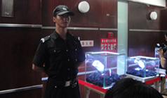 珠宝品鉴会顶级守护